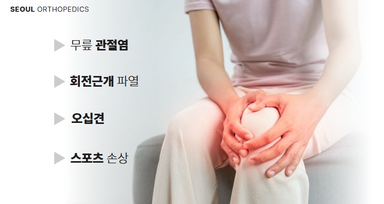 서울정형 홈페이지 요소.jpg